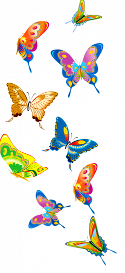 Set of butterflies.png | Pinterest | Butterfly, Rock painting and ...