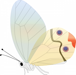 Transparent Butterfly Clip Art at Clker.com - vector clip art online ...
