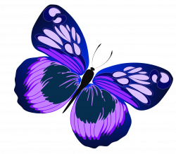 Butterfly Flower Clipart at GetDrawings.com | Free for personal use ...