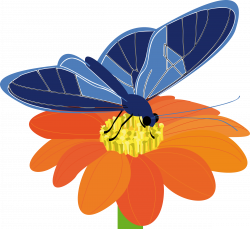 Clipart - butterfly on a flower