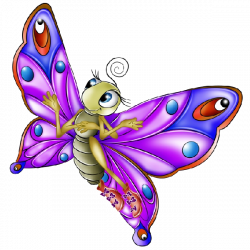 Very Colourful Butterfly Cartoon Images. All Images Are On A ...
