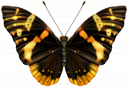 Black and Orange Butterfly Clipart PNG Image | Gallery Yopriceville ...
