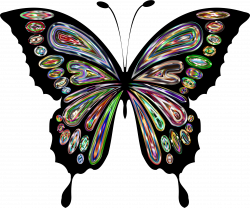 Clipart - Prismatic Butterfly Remix 11