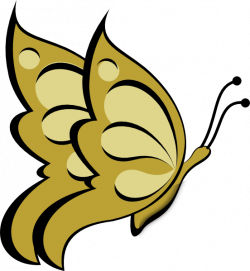 Gold Butterfly Clip Art at Clker.com - vector clip art online ...