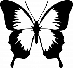 Butterfly black and white clip art black and white moth clipart ...