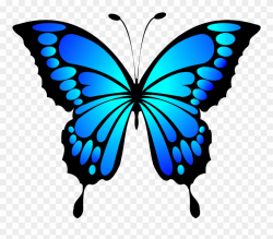 Butterfly Insect Blue Morpho - Blue Butterfly Clipart ...