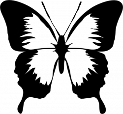 Papillon n&b Image réduite [farfalla_contorno_archit_01.png - 92kB ...