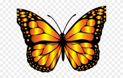 Monarch Butterfly Clipart Png Full Hd - Butterfly Insect ...