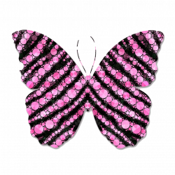 Pink and Black Circles Butterfly Clipart transparent PNG - StickPNG