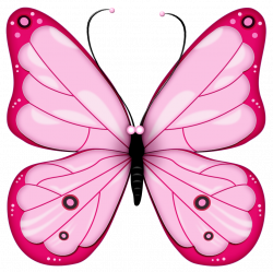Pink_Transparent_Butterfly_Clipart.png (929×928) | Mariposas ...