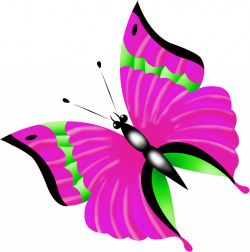 Butterflies set3 168.png | Butterfly, Clip art and Decoupage
