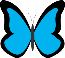 28+ Collection of Butterfly Clipart Simple | High quality, free ...