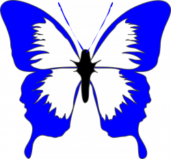 Light Blue Butterfly Clipart | Clipart Panda - Free Clipart Images