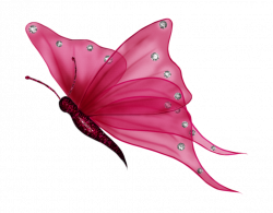 butterfly png | Butterfly4.png Photo by just4udesigns | Photobucket ...