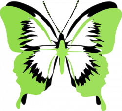 Green Butterfly Drawing at GetDrawings.com | Free for personal use ...