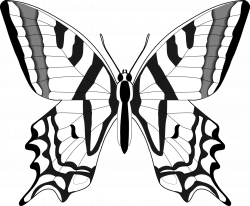 Butterfly Line Drawing - ClipArt Best | Butterflies | Pinterest ...