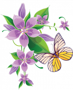 Clipart butterflies | Butterflies clipart | Pinterest