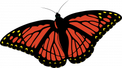 Clipart - monarch butterfly