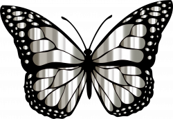Clipart - Monarch Butterfly 2 Variation 8