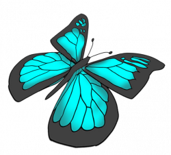 Free Butterfly Drawing at GetDrawings.com | Free for personal use ...