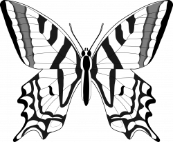 Simple Black And White Butterfly Clipart #1 | bUtTeRfLiEs ...