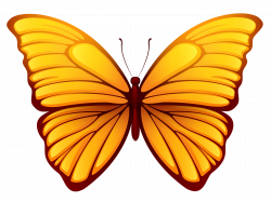 Butterfly PNG Picture | Gallery Yopriceville - High-Quality Images ...
