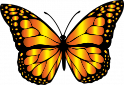 Butterfly Clip Art | Free Download Clip Art | Free Clip Art ...