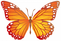 Butterfly with Yellow PNG Image | Gallery Yopriceville - High ...