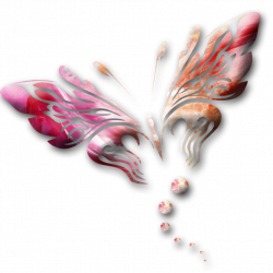PNG-Butterfly by ucurmi on DeviantArt | Wallpapers and more ...