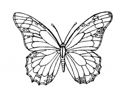 Butterfly | Coloring - Part 2 - Clip Art Library