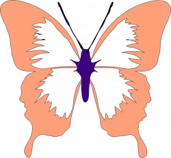 Peach Butterfly Clip Art at Clker.com - vector clip art online ...