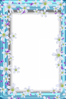 Transparent Bue PNG Frame with Flowers and Butterflies | Borders ...
