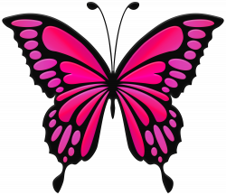Pink Butterfly PNG Clip Art Image | Gallery Yopriceville ...