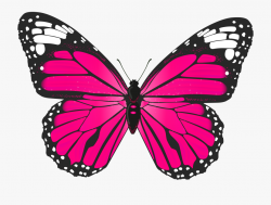 Butterfly Clipart - Pink Butterfly #2327 - Free Cliparts on ...