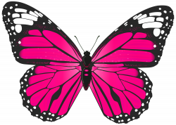 Pink Butterfly PNG Transparent Clip Art Image | Gallery ...