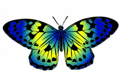 Butterfly Clipart | Current project | Pinterest | Butterfly ...