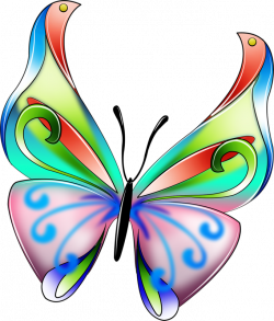 CH.B *✿* | butterflies | Pinterest | Butterfly, Dragonflies and ...
