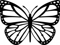 Butterfly Outline Drawing at GetDrawings.com | Free for personal use ...