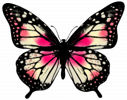 Large Pink Butterfly PNG Clip Art Image | Gallery Yopriceville ...
