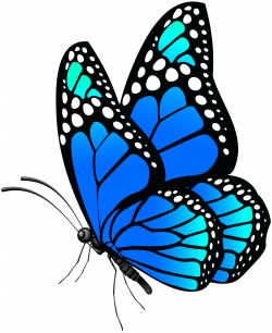 Monarch Butterfly Clipart at GetDrawings.com | Free for personal use ...