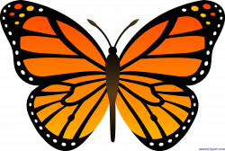28+ Collection of Monarch Clipart | High quality, free cliparts ...
