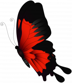 Red Flying Butterfly PNG Clip Art | Gallery Yopriceville - High ...