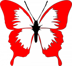 Red Butterfly Clip Art at Clker.com - vector clip art online ...