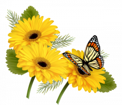Yellow Gerberas with Butterfly PNG Clipart | mutfak dekopaj ...