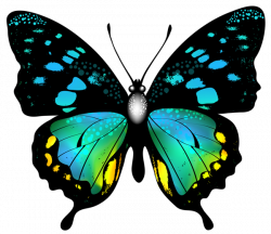 Blue Colorful Butterfly PNG Clip Art Image | Graphics | Pinterest ...