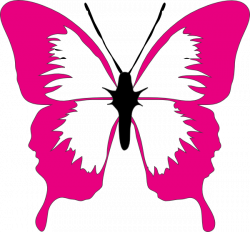 Pink Butterfly Clipart | Clipart Panda - Free Clipart Images