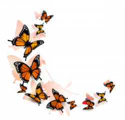 Clipart butterflies | Butterflies clipart | Pinterest | Butterfly ...