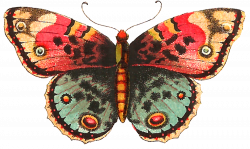 Antique Images: Free Digital Butterfly Label Crafting Clip Art ...