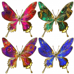 free #scrapbook #clipart #paper #craft #hobbies #hobby # #butterfly ...