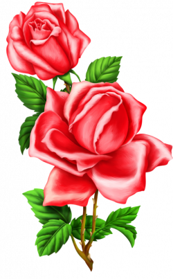 roses,pink,roze,rosa, | цветы | Pinterest | Decoupage, Shabby chic ...